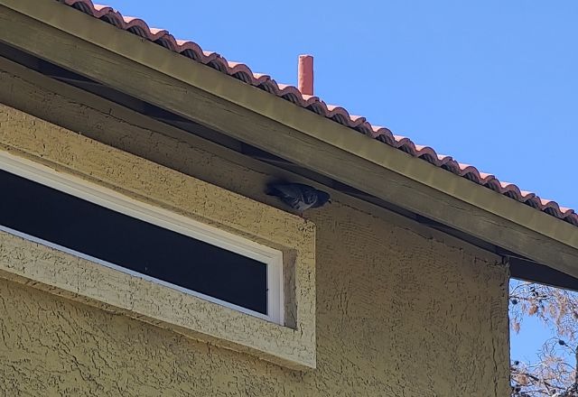 imgi_1_Free Estimates_Reclaim Your Peace of Mind